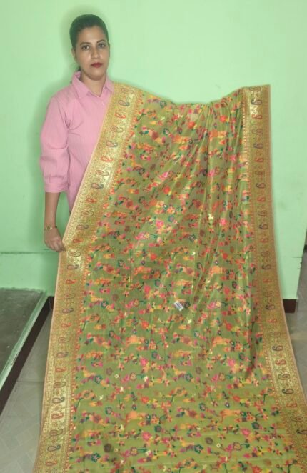 Banarasi silk